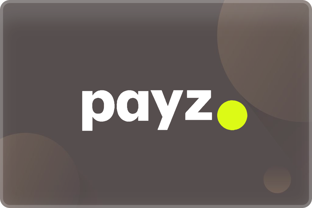 Brand image for payz