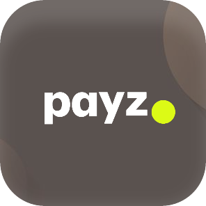 Brand image for payz